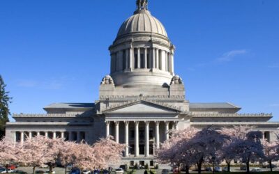 How to Support a Bill Online